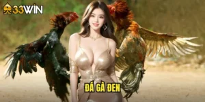 đá gà đen