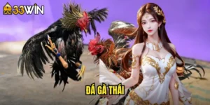 đá gà Thái