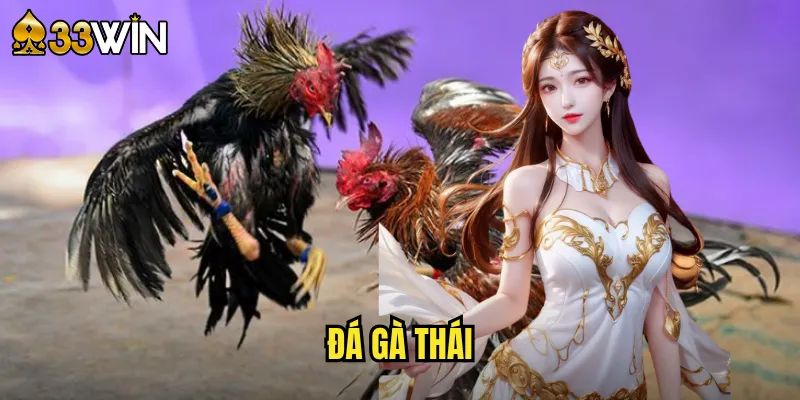 Đá Gà Thái Lan Tại 33win - Trải Nghiệm Đỉnh Cao Xứ Chùa Vàng 1 đá gà Thái