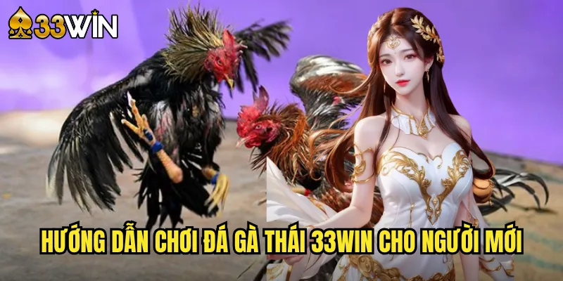 Đá Gà Thái Lan Tại 33win - Trải Nghiệm Đỉnh Cao Xứ Chùa Vàng 3 Hướng dẫn chơi đá gà Thái 33win cho người mới