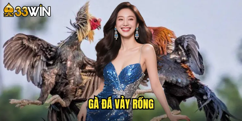 gà đá vảy rồng