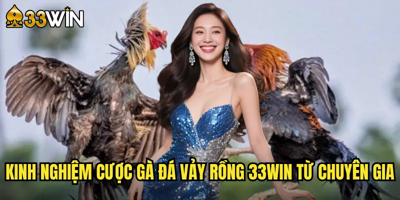 Kinh nghiệm cược gà đá vảy rồng 33win từ chuyên gia