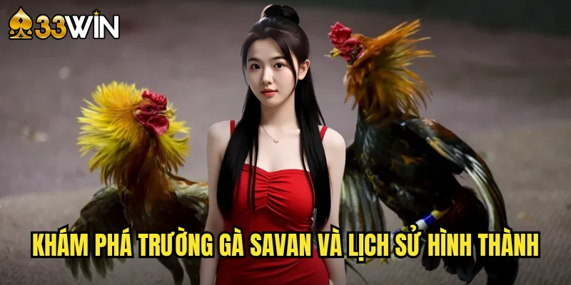Khám phá trường gà Savan và lịch sử hình thành