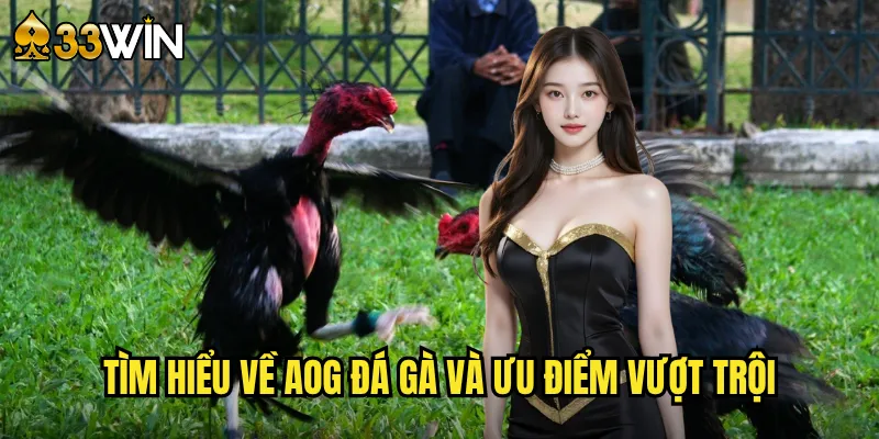 Tìm hiểu về AOG đá gà và ưu điểm vượt trội