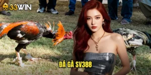 đá gà SV388
