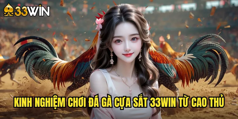 Kinh nghiệm chơi đá gà cựa sắt 33win từ cao thủ