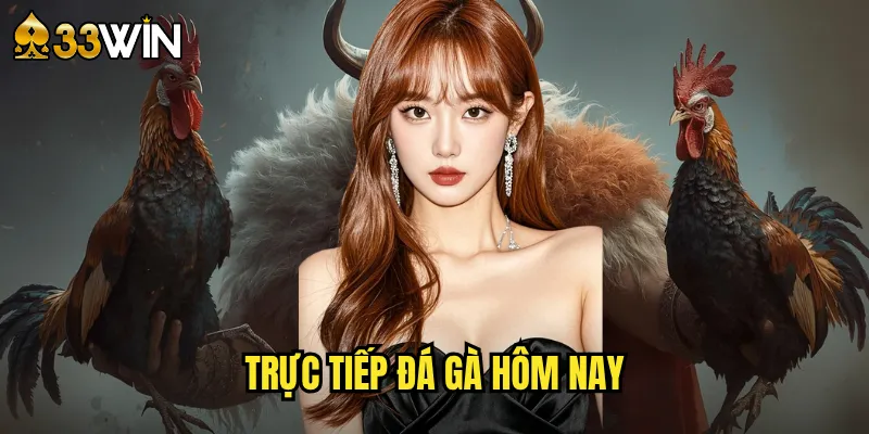 Trực Tiếp Đá Gà Hôm Nay