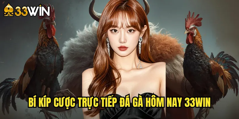 Bí Kíp Cược Trực Tiếp Đá Gà Hôm Nay 33win
