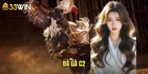 đá gà c2