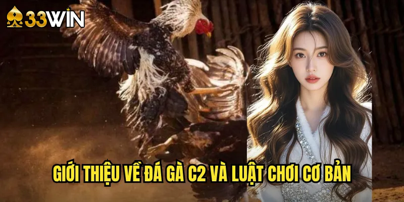 Giới thiệu về đá gà c2 và luật chơi cơ bản
