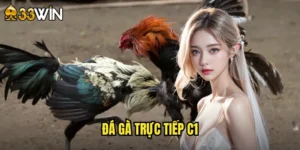 đá gà trực tiếp C1
