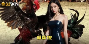 đá gà tre