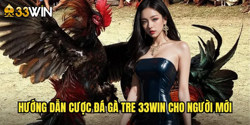Hướng dẫn cược đá gà tre 33win cho người mới