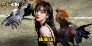 đá gà lai