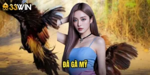 đá gà Mỹ