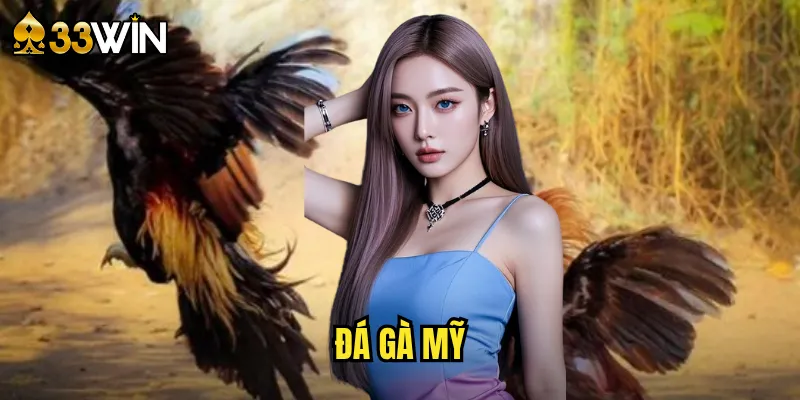 đá gà Mỹ