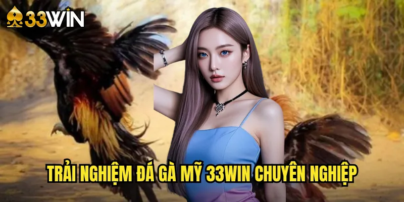 Trải nghiệm đá gà Mỹ 33win chuyên nghiệp