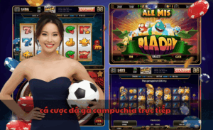 Cá cược đá gà Campuchia trực tiếp