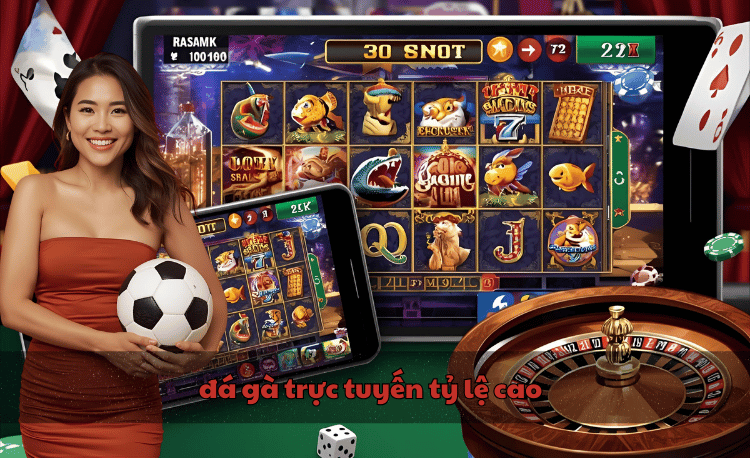 Top 7 kèo đá gà trực tuyến tỷ lệ cao đang hot nhất 2 đá gà trực tuyến tỷ lệ cao